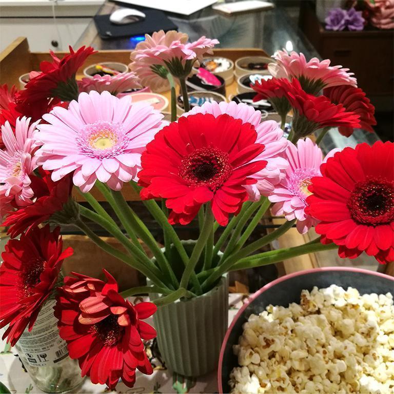 Kundeaften i Mondo Kaos - Forår 2019 🌸