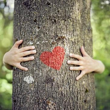 Mondo Kaos – vores brands og bæredygtighed